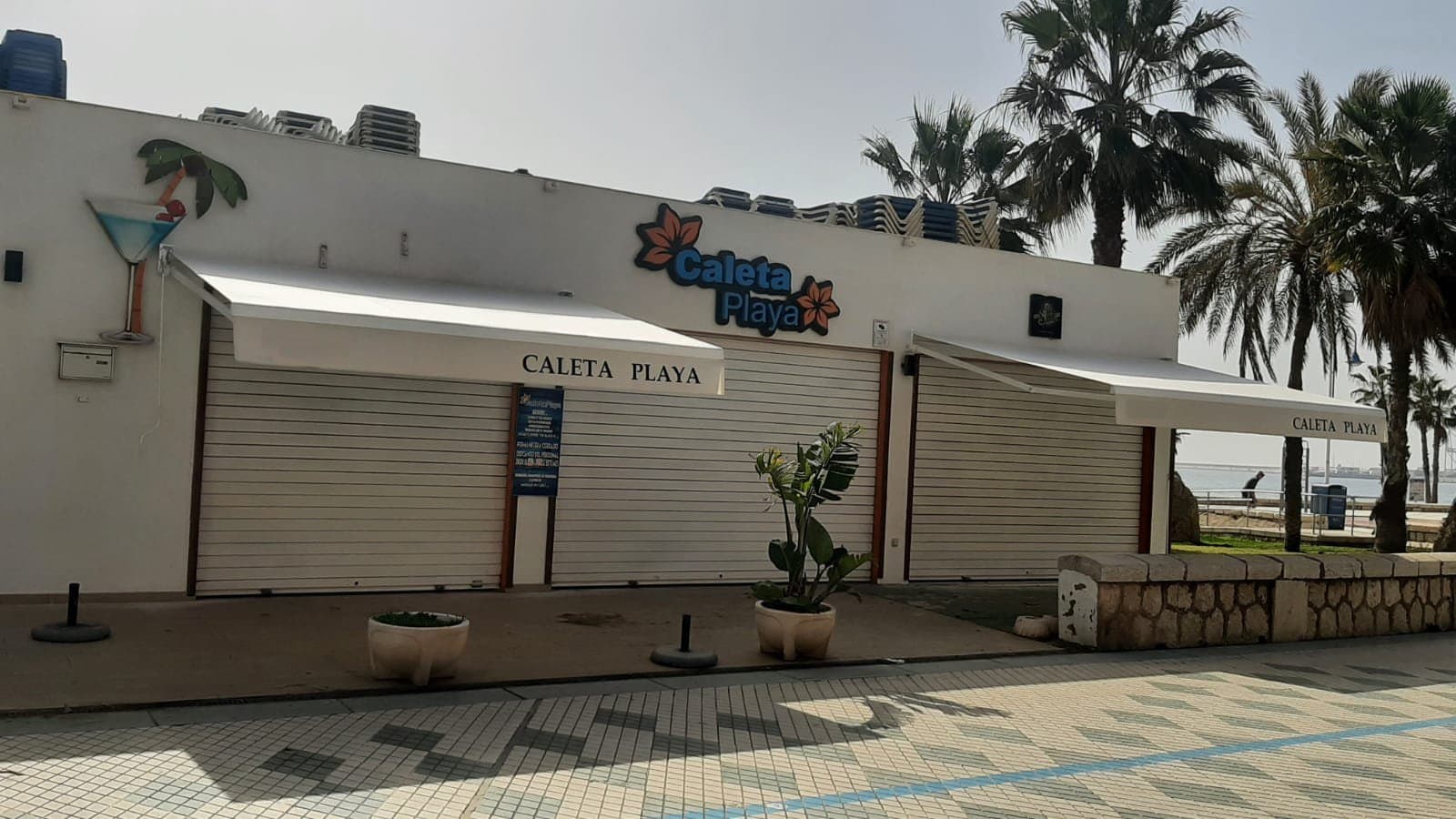 toldo articulado